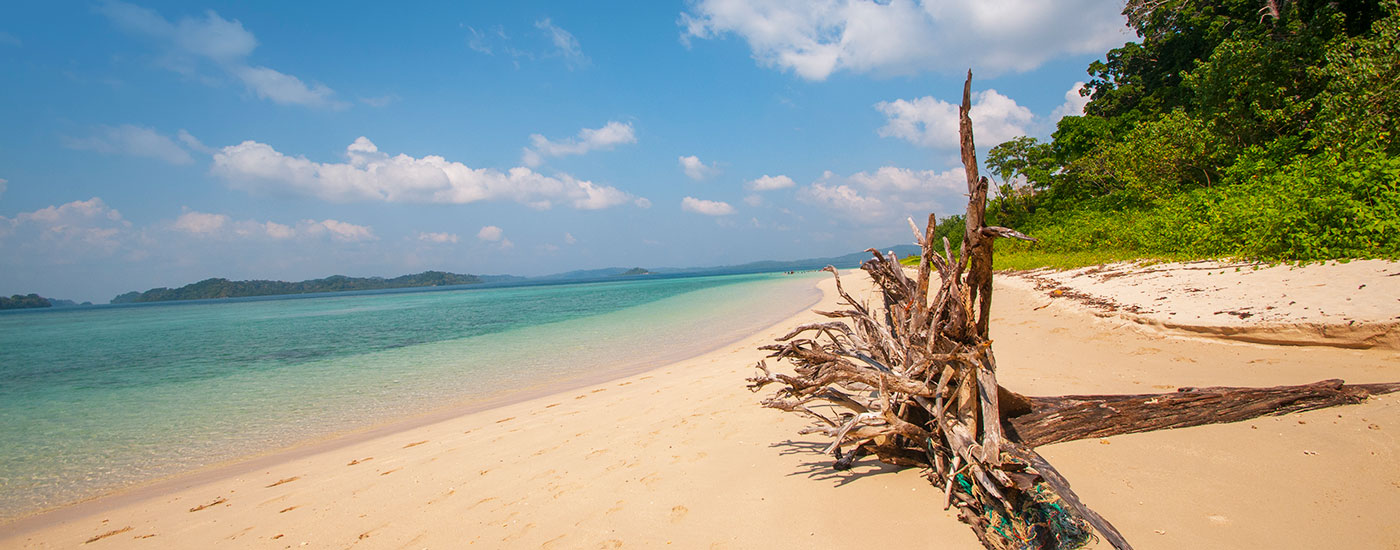 Andaman Travel Guide