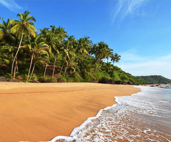 Goa Coastal Adventure