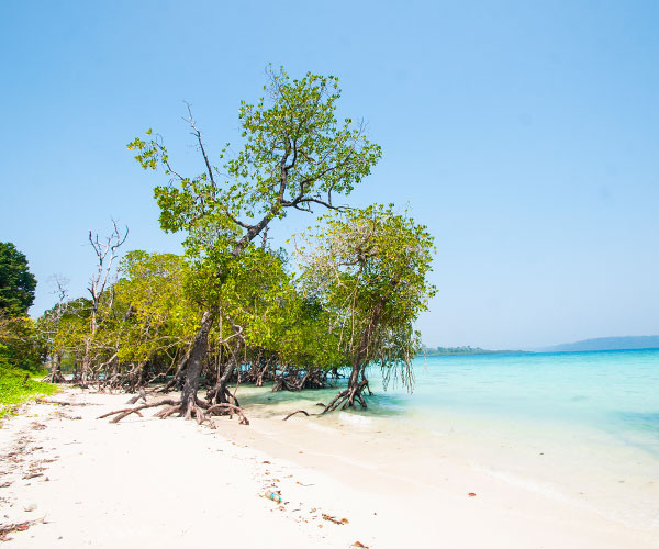Andaman Dhamaka