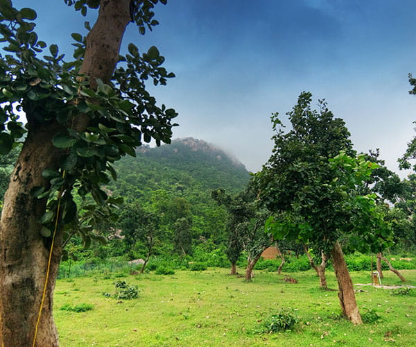 Duke Panoramic Purulia