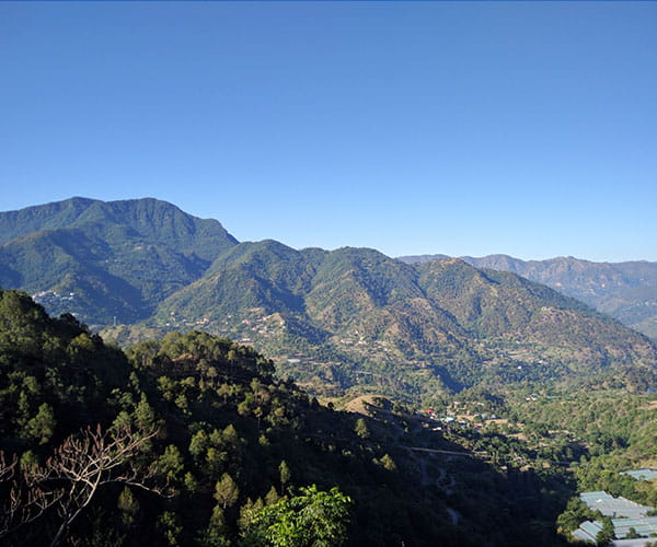 Shimla Manali Amritsar Tour