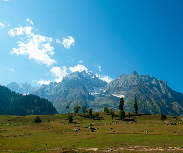 Kashmir Valley Paradise Tour