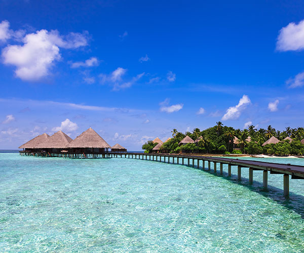 Maldives Island Paradise