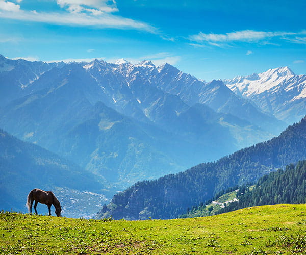 Himachal Valley Escape