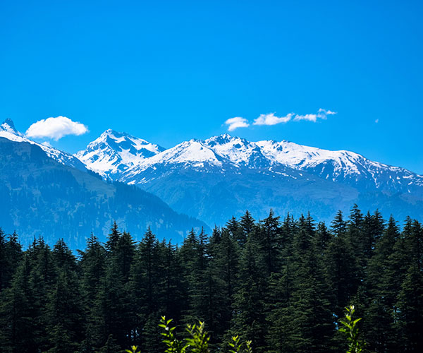 Himachal Hills Getaway